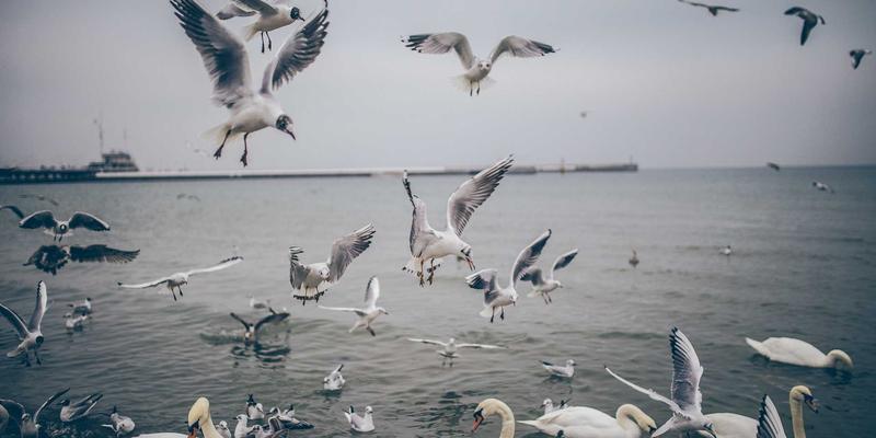 从概念设计到最终渲染：深度解析哈基马工作室的3D角色创作全流程与品牌设计奥秘