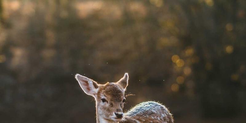 创意设计如何塑造赛博朋克世界：解析哈基马工作室灯光与氛围的情绪引导艺术