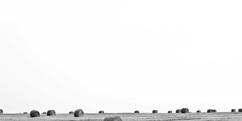 哈基米工作室如何用多媒体制作重塑东方赛博朋克：视频制作中的传统与未来