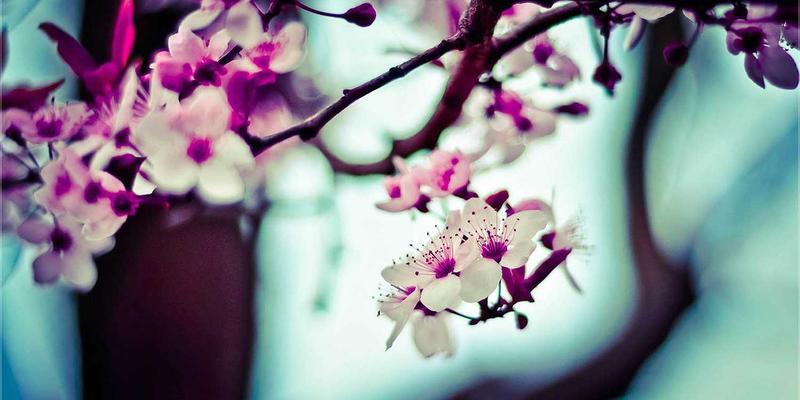 哈基米工作室的叙事密码：如何在短篇幅多媒体项目中构建深刻的赛博朋克世界观