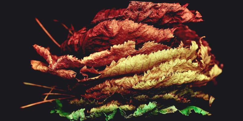 哈基马工作室20:多媒体制作与3D动画领域的创新先锋