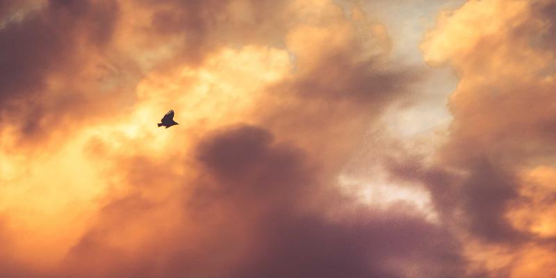 哈基马工作室30：创意设计、UI/UX与视频制作的三维赋能