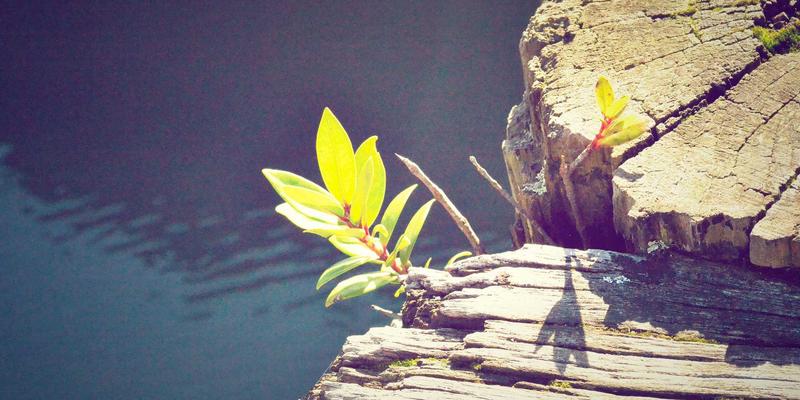 哈基马工作室45：以创意设计重塑品牌灵魂的先锋力量