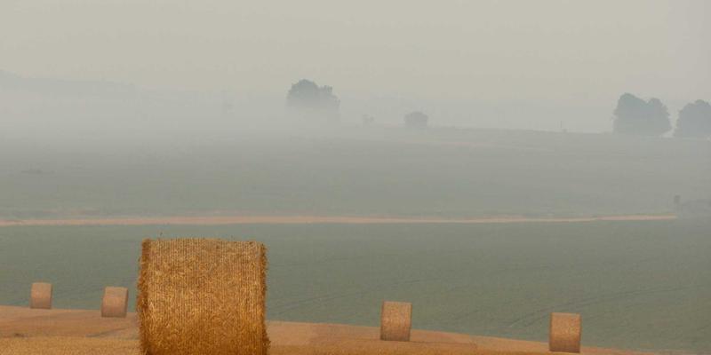 哈基马工作室60：用3D动画与创意设计重塑多媒体制作新边界