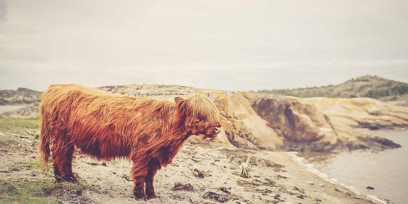 哈基马工作室63：多媒体制作领域的创新先锋，3D动画与视频制作的卓越融合