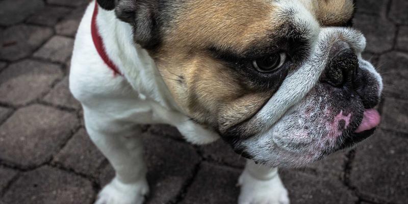 哈基马工作室87：以创意设计与UI/UX为核心的多媒体制作革新者