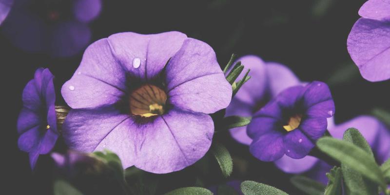 哈基马工作室98：以创意设计与极致UI/UX重塑数字体验