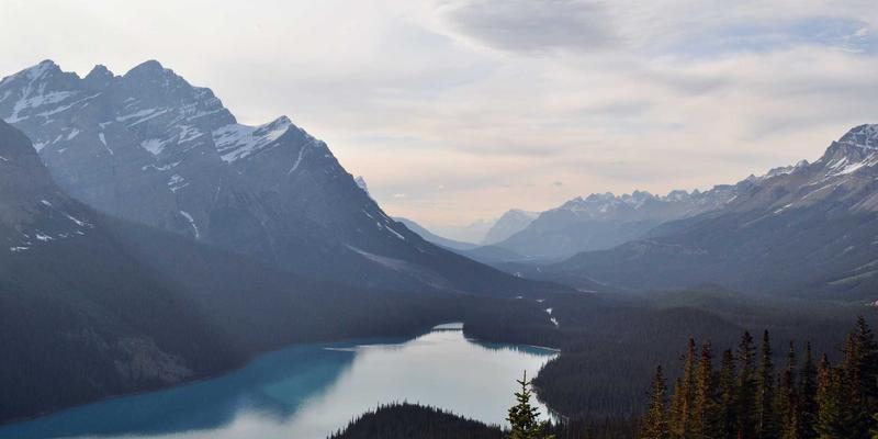 哈基马工作室：如何以创意设计与赛博朋克美学构建活跃玩家社区