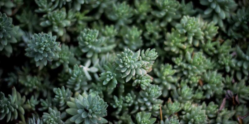 哈基马工作室如何通过创意设计与多媒体制作打造沉浸式视觉体验