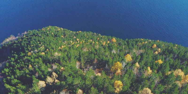 哈基马工作室的赛博朋克场景构建：创意设计、UI/UX与视频制作的未来主义叙事哲学