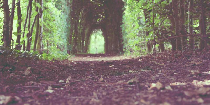 赛博朋克设计如何破局？深度解析哈基马工作室的品牌定位与视频制作市场策略